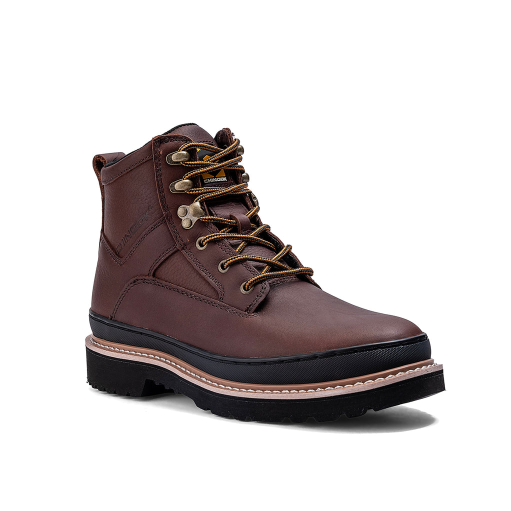 Workhorse II 6
